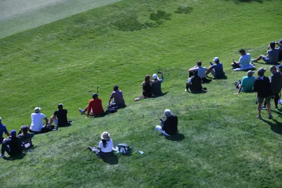 DSC_0747 (Large).JPG